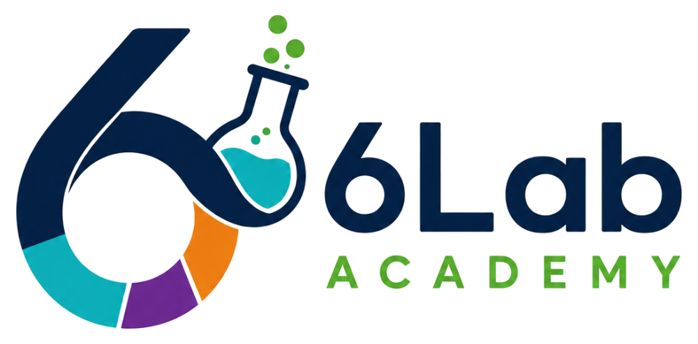 6Lab Academy